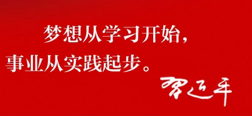 习近平论坚持和发展中国特色社会主义 （2017年）